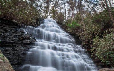 Things to do in Ocoee, TN while visiting us