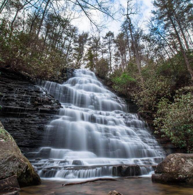 Things to do in Ocoee, TN while visiting us