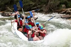 Things To Do Near Cherokee National Forest – The Ultimate East Tennessee Adventure Guide 4