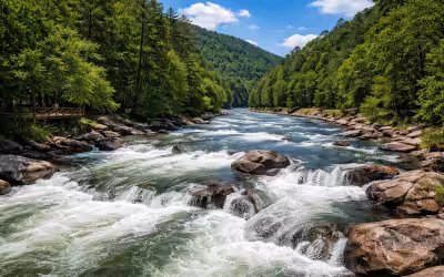 Best Ocoee River Rafting Company