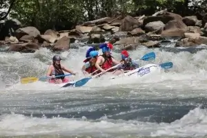 Things To Do Near Cherokee National Forest – The Ultimate East Tennessee Adventure Guide 3