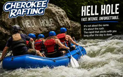 The Rapid Everyone Asks About